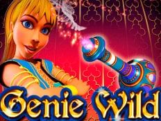 Слот Genie Wild